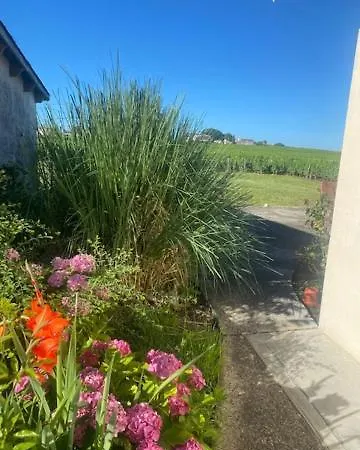 Le Jardin De Vignobles Fabris Saint-Emilion